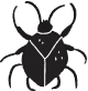 Bug